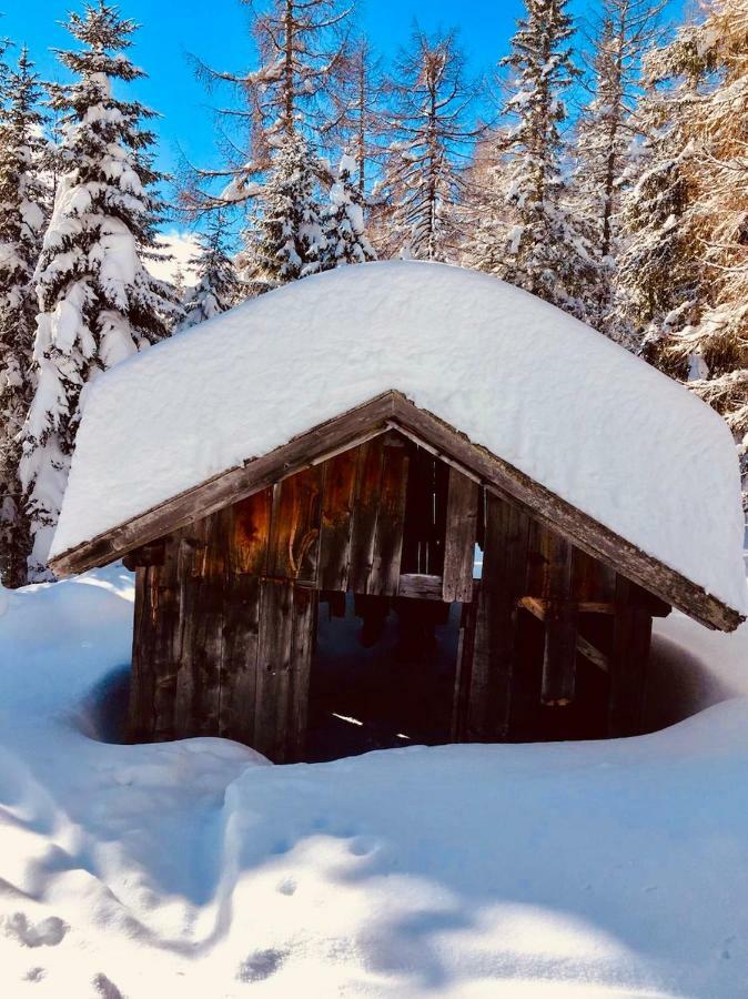 Apartamento Haus Alpenrose Trins Exterior foto